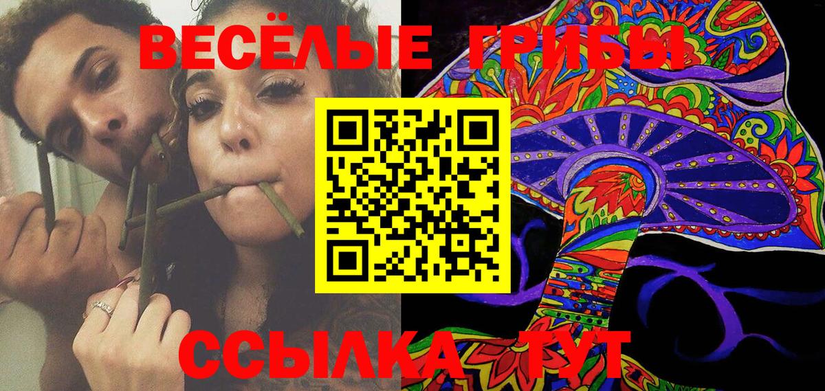 цена   Вход с VPN  Истра  Галлюциногенные грибы Magic Shrooms 