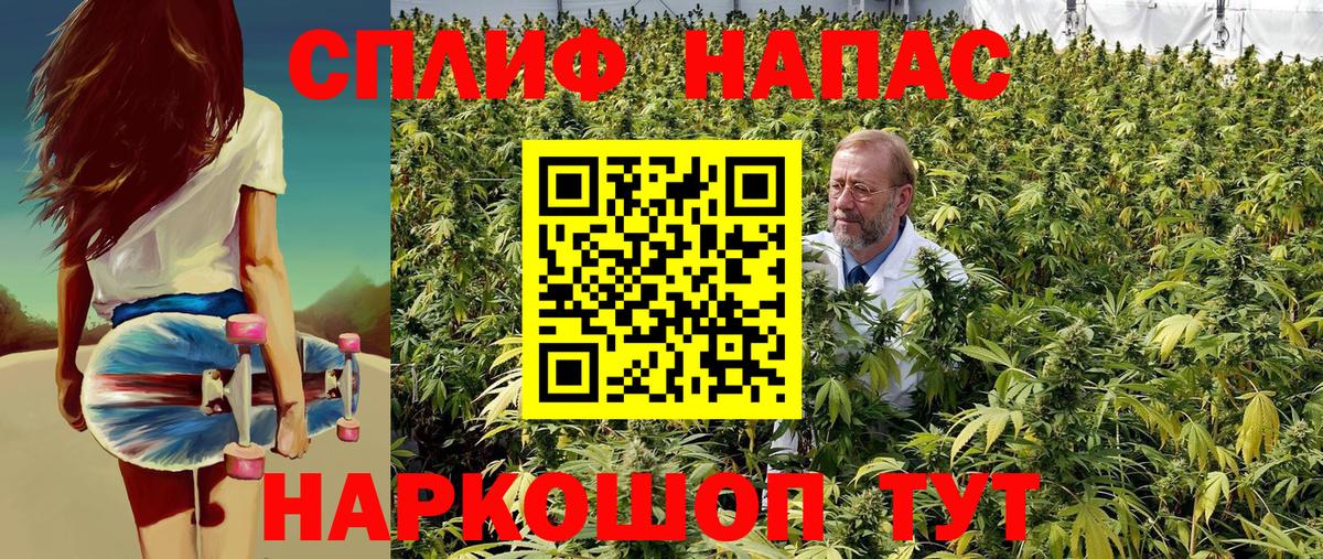 Конопля сатива  Бошки Шишки сатива  Истра  Канабис SATIVA & INDICA  Вход с VPN 